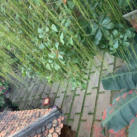 הו צ'י מין סיטי The An Homestay מראה חיצוני תמונה