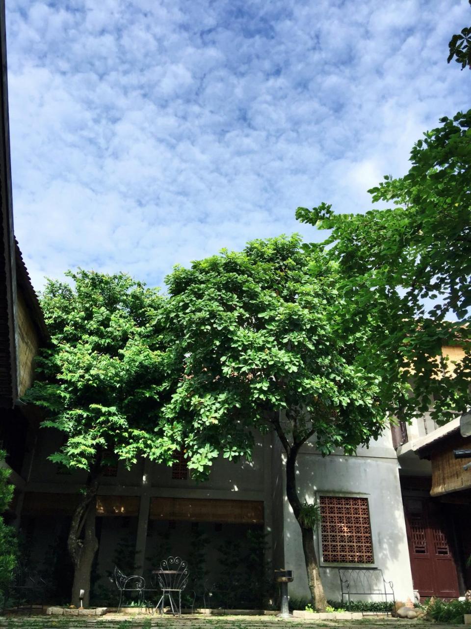 הו צ'י מין סיטי The An Homestay מראה חיצוני תמונה