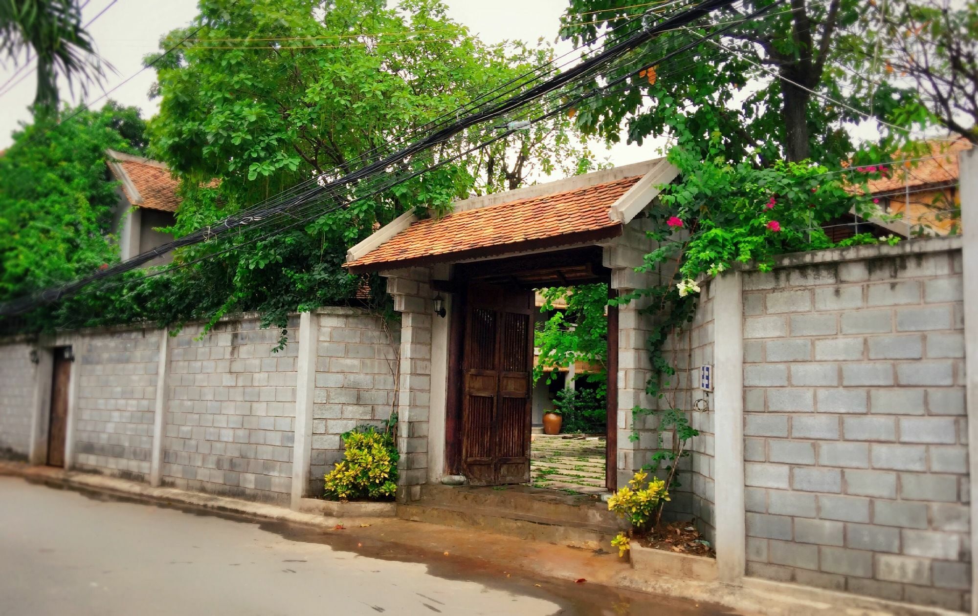 הו צ'י מין סיטי The An Homestay מראה חיצוני תמונה
