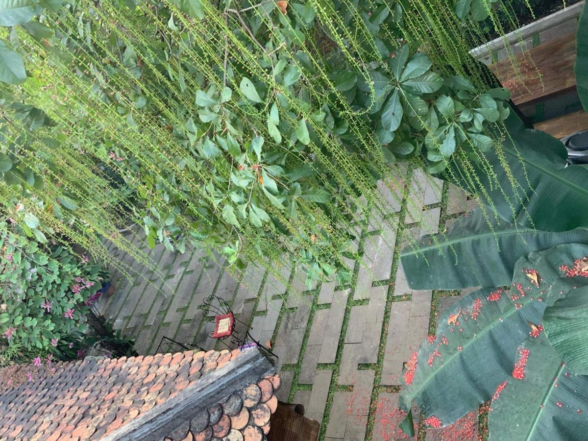 הו צ'י מין סיטי The An Homestay מראה חיצוני תמונה